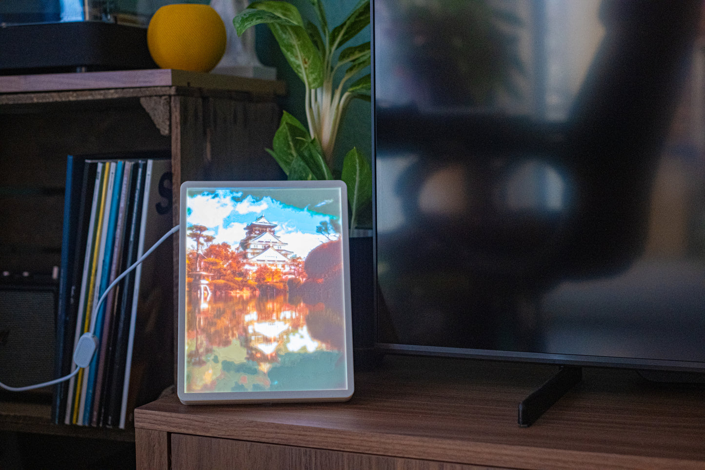 L'Écrin Photographie Couleur